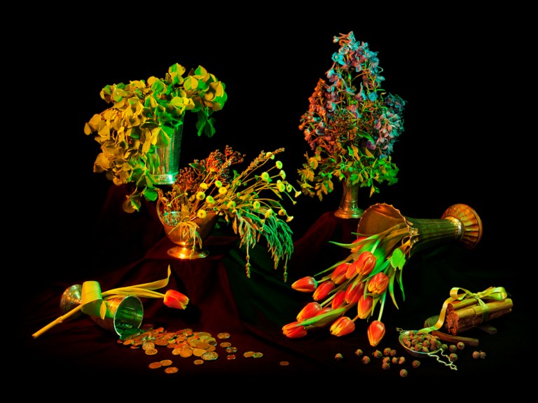 <em>To Draw Money</em>, 2013
acorns, bayberry, cinnamon, cinquefoil, coins (old or foreign), a horseshoe, lavender, parsley, skullcap, shamrock, thyme, tulip
Archival Pigment Print, 30
