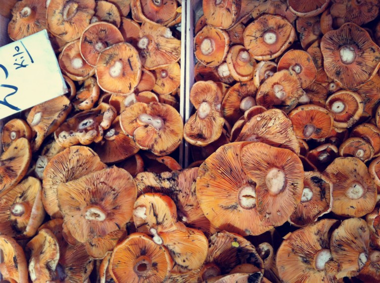 Mushrooms from the huge Marché in Cannes 